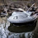 Boatman Actor Plus Carbon