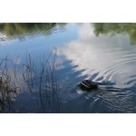 Boatman Actor Plus Basic